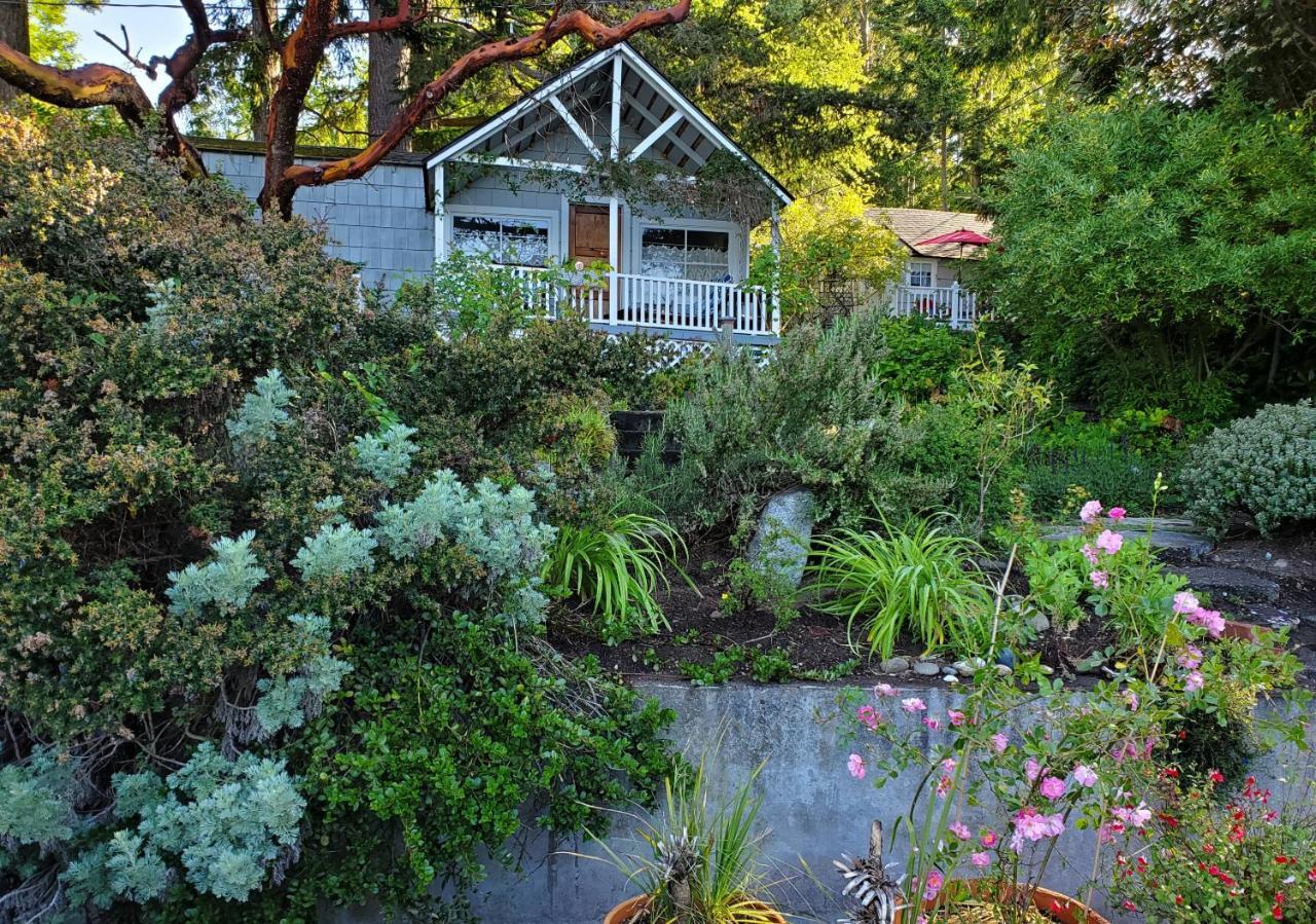 Bay Cottage Getaway Port Townsend Oda fotoğraf