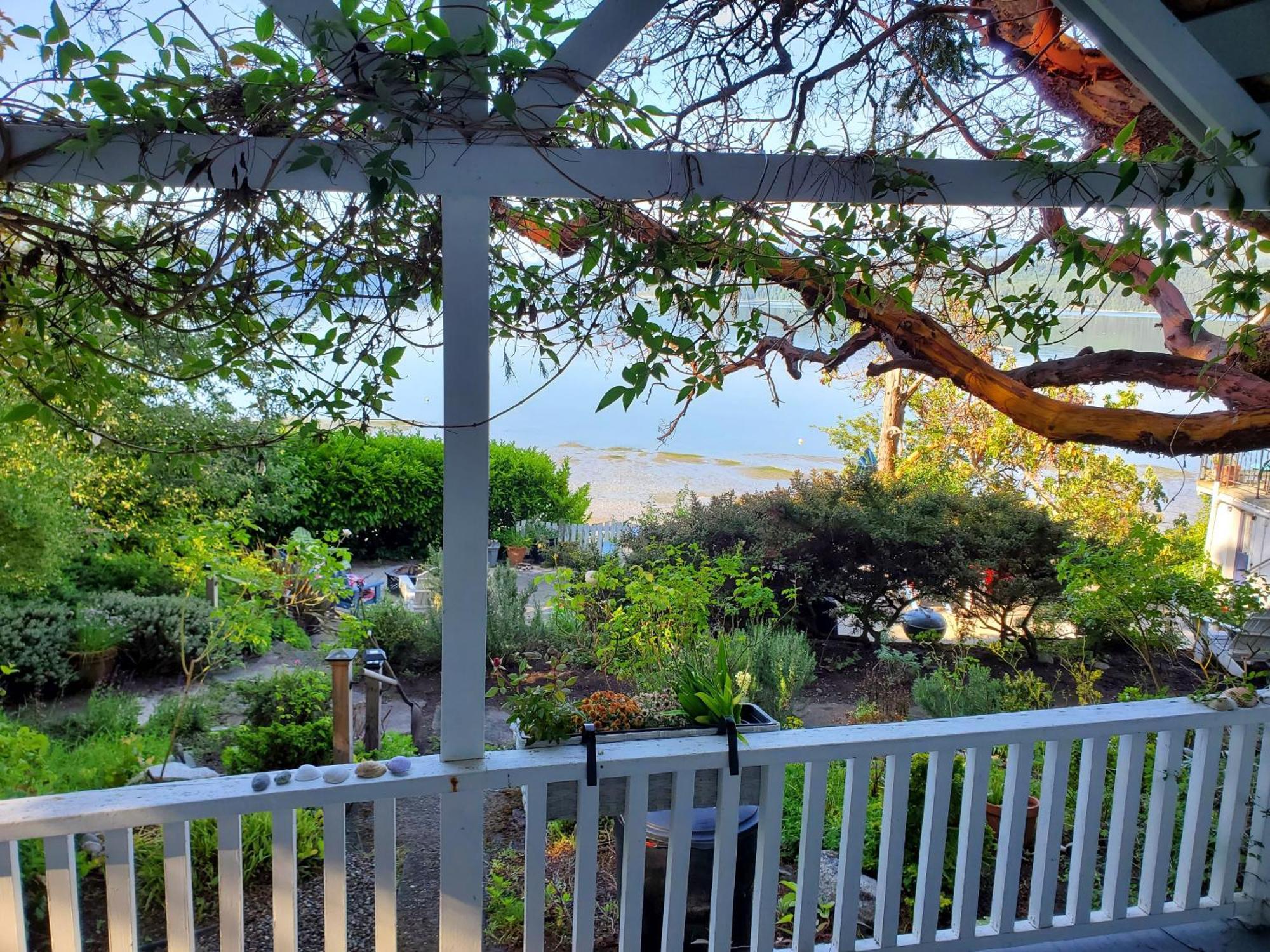 Bay Cottage Getaway Port Townsend Oda fotoğraf