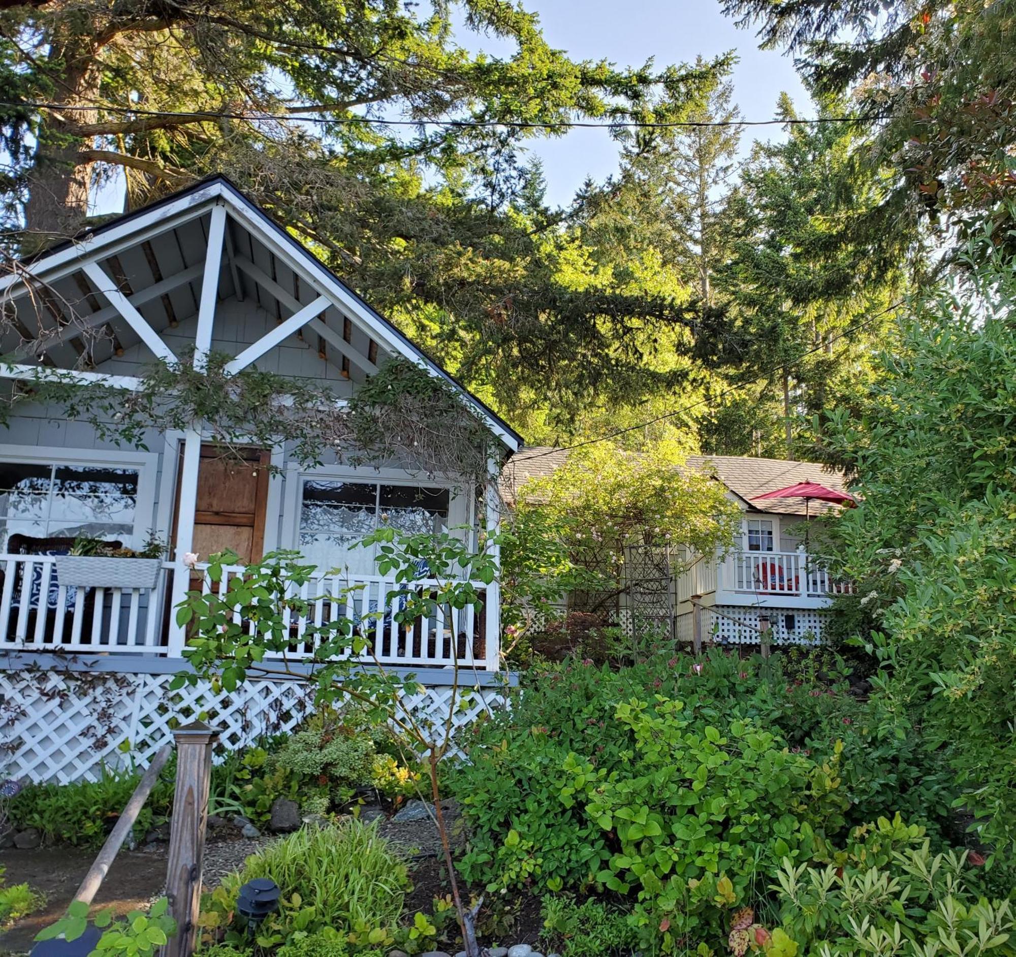 Bay Cottage Getaway Port Townsend Oda fotoğraf